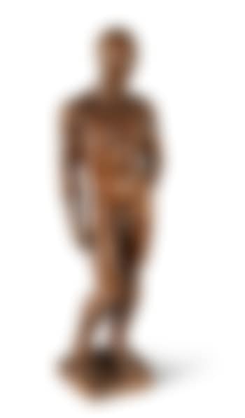 Jeune homme (preview)
