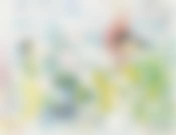 Composition (preview)