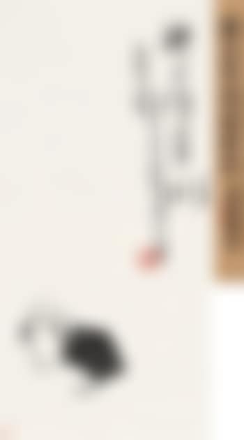 Chickens (preview)