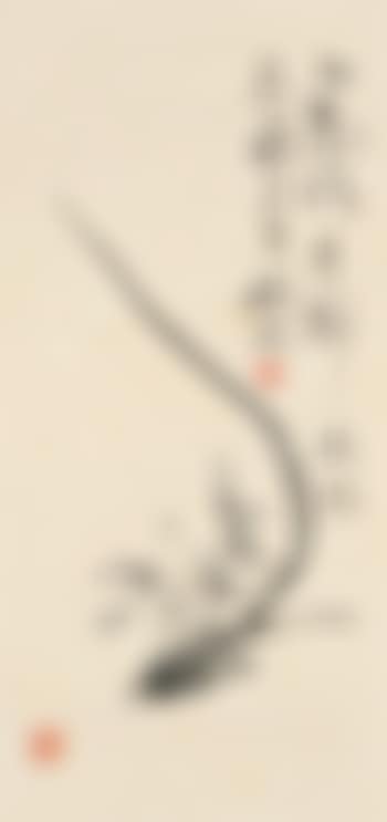 Orchid (preview)