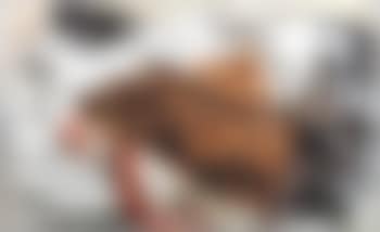Senza titolo (preview)