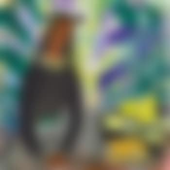 Summer (preview)