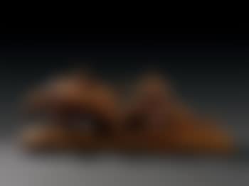 Farm cattle (preview)