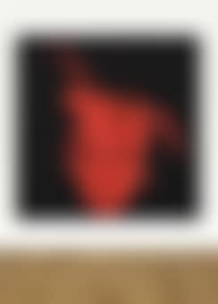 Self-Portrait (preview)