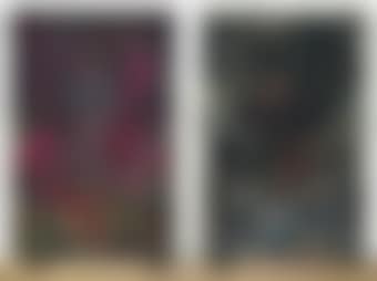 Untitled Diptych (preview)