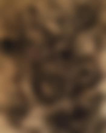 Ohne Titel (preview)