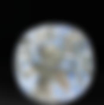 Vase with bunch (preview)