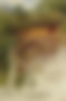 A holy shrine to Budda (preview)