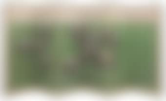 Racetrack (preview)