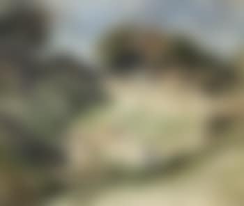 Paysage aux environs de la Ciotat (preview)