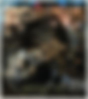 On demande direction (preview)