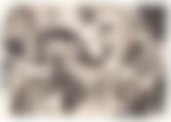 Al tavolo da disegno (preview)