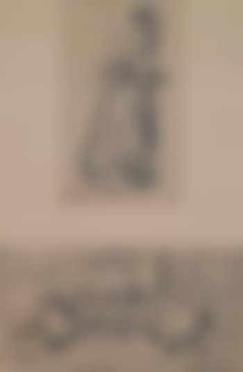Frau im langen Kleid. Lesendes Paar (preview)
