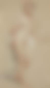A standing female nude, holding drapery in her right hand (preview)