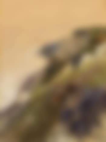 Kreidefelsen (preview)