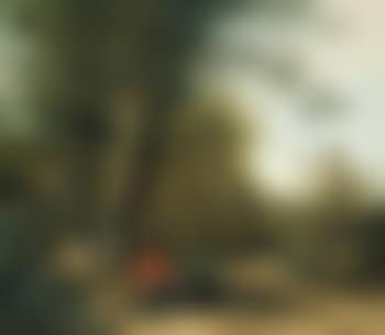 A Peasant Playing With His Dog While Resting At The Margin Of a Wood (preview)