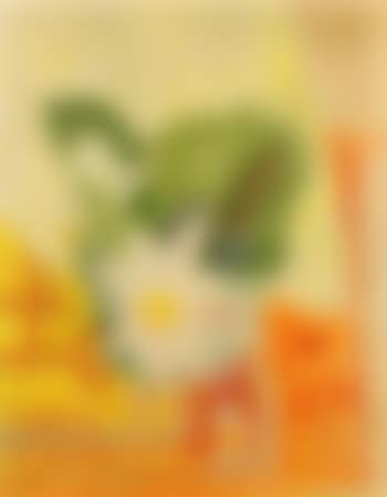 Seerosen (preview)