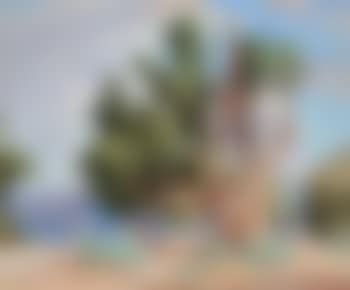 Cedar, Grand Canyon (preview)