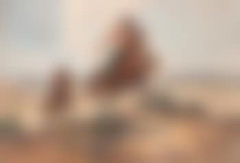 Off for the hunting grounds (preview)