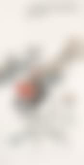 New  Year Offerings (preview)