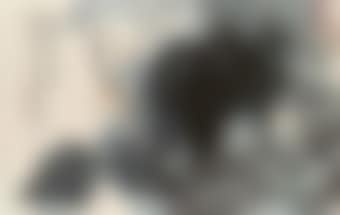 Lotus (preview)