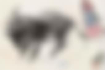 Young Girl and Donkey (preview)