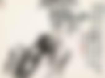 Plum Blossom (preview)
