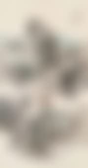 Landscape (preview)