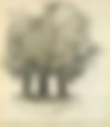 3 Chênes Empaqueté: Project Pour La Fondation Maeght à St. Paul De Vence A.M. France (preview)