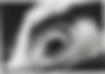 Untitled (Skull Island) (preview)