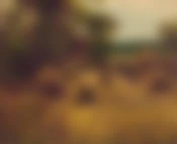 Farm work (preview)