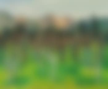 Paysage de Sanary (preview)