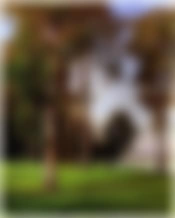 Landschaft (preview)