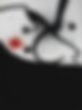 Oiseau, insecte, constellations (preview)
