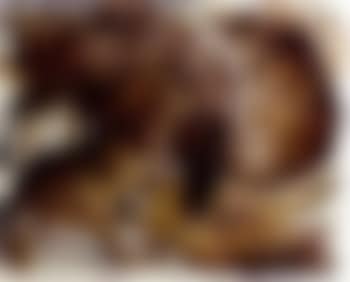 Der Kampf (preview)
