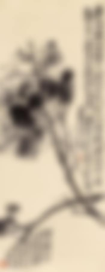 Grapes (preview)