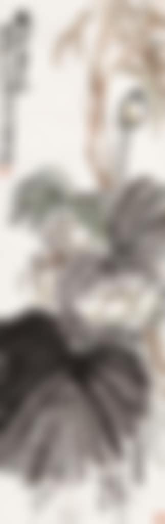 Lotus (preview)