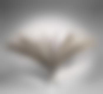 Ohne Titel (Spray) (preview)