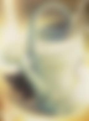Scheues Kätzchen (preview)