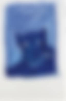 Panther (preview)
