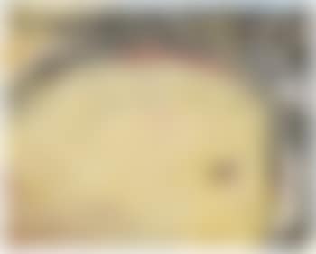 Muletero (preview)