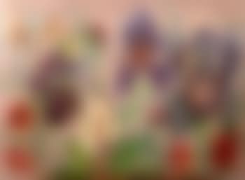 Flag irises, poppies and other flowers (preview)