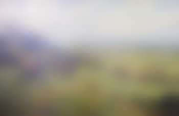 Into the vale - The Quorn at Little Belvoir (preview)