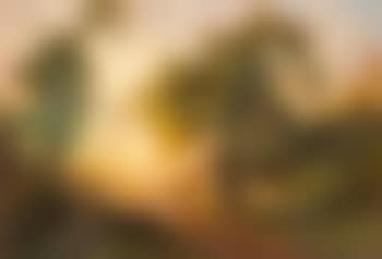 Indische Abendlandschaft (preview)
