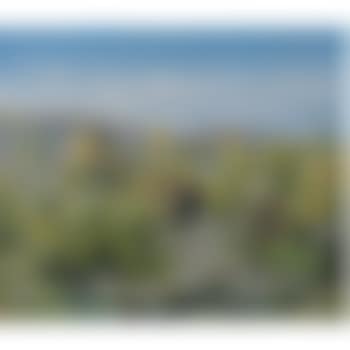 Simiane (Simiane) (preview)