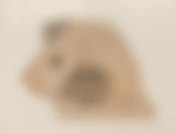 Collection of works (preview)