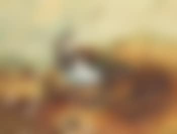 Lapwing (preview)