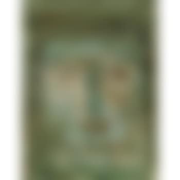51 (preview)