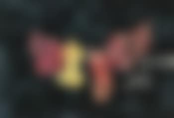 Red wing (preview)