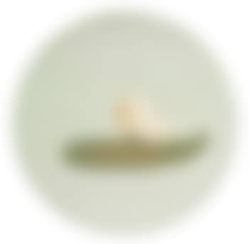 The flying nun (preview)